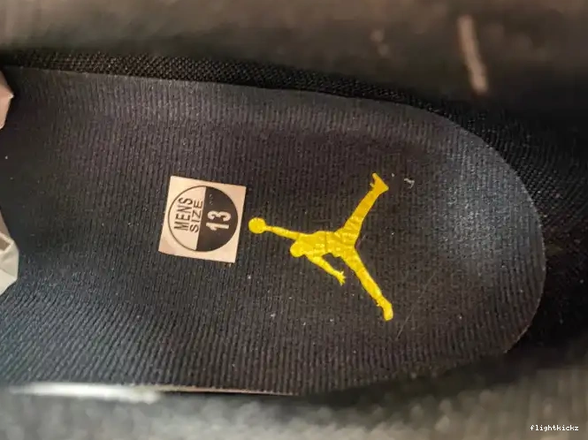 FJ0395-100 Low 17 Lightning Jordan Air 0423